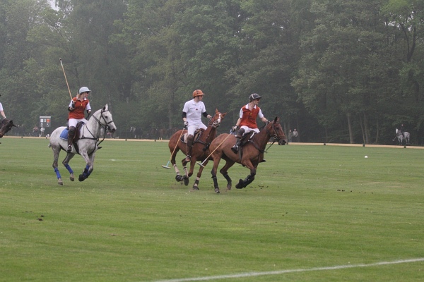 Polo_Art   106.jpg